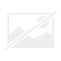Ufc personal trainer - ufc,